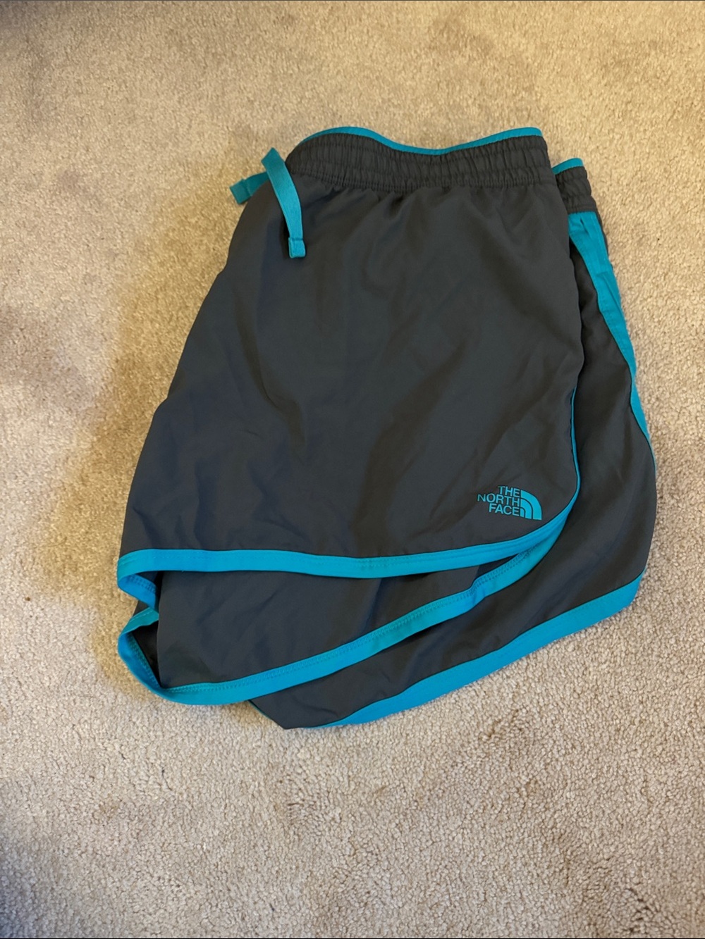 The North Face Shorts